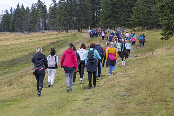 Big group of people walking by hiking trail - 461187491