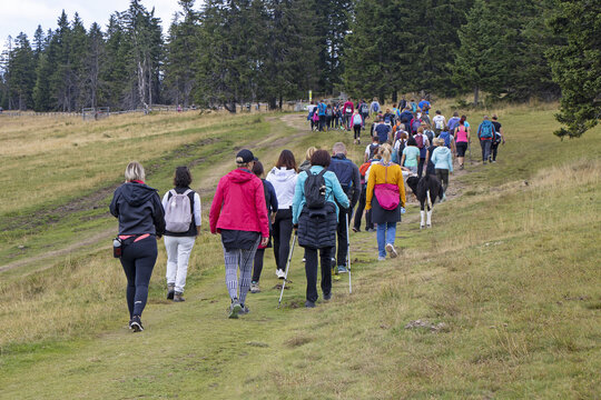 Big group of people walking by hiking trail
