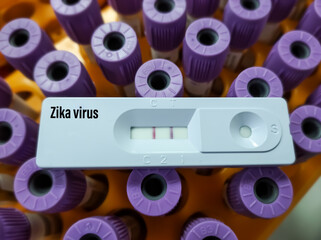 Rapid test cassette for Zika virus test, positive result view, selective focus