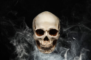 Human skull with mist on dark background