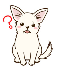疑問に思うチワワ（白）