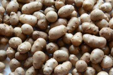 Yam Bulbil as healthy food. The part of the bud that has accumulated nutrients and has become enlarged.