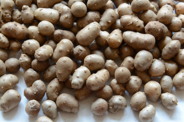 Yam Bulbil as healthy food. The part of the bud that has accumulated nutrients and has become enlarged.
