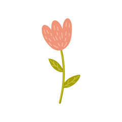 Tulip flower in doodle style. Multicolored illustration isolated on white background.