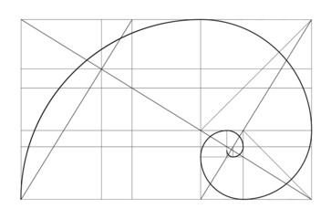 Vector golden relationship template. Golden spiral, golden ratio, Fibonacci array, Fibonacci number. Divine proportions.