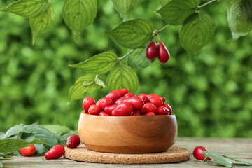 Bowl with fresh dogwood berries on table outdoors