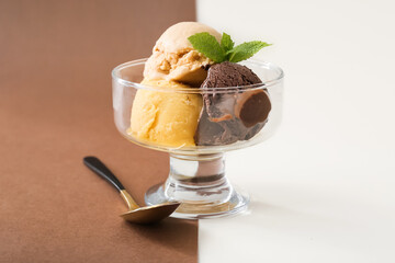 Bowl of delicious different ice cream balls on color background