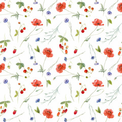 Beautiful vector seamless floral pattern with hand drawn watercolor gentle wild field flowers cornflower poppy. Stock illuistration.