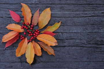 autumn image with leaves, chestnuts and small red fruits, rustic black wooden background