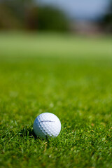 Golf Ball Grass Green 