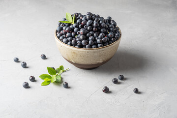 Fototapeta na wymiar Blueberry bowl on white background with copy space in rustic stylel