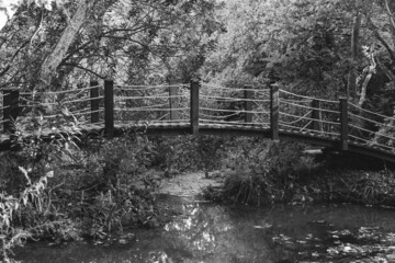 old wooden bridge in the nature park