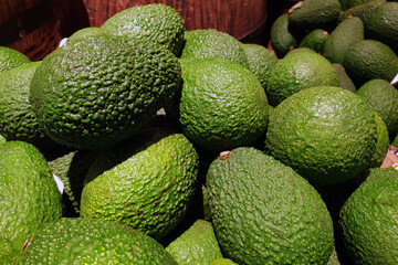 Heap of fresh green avocado selling at the market stall.