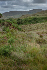Fototapeta na wymiar Ireland Connemara Westcoast. National Park. Hills. Grass.
