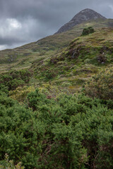 Fototapeta na wymiar Ireland Connemara Westcoast. National Park. Hills. Grass.