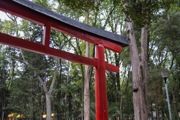 Fototapeta na wymiar Traditional Japanese gate and trees in Masayoshi Ohira Park