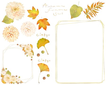 181 Best 白椿 Images Stock Photos Vectors Adobe Stock