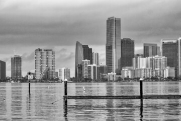 Fototapeta na wymiar Miami skyline with buildings reflections on the Biscayne Bay.