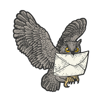 Owl with mail letter color sketch engraving vector illustration. T-shirt apparel print design. Scratch board imitation. Black and white hand drawn image.