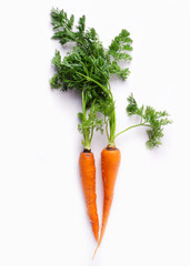 Carrots on a white background