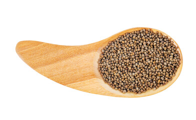 Perilla herb seeds in wooden spoon isolated on white background.