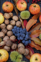 Naklejka na ściany i meble Thanksgiving image, place for text, composition of autumn fruits, a huge grape, apples, nuts, chestnuts, leaves