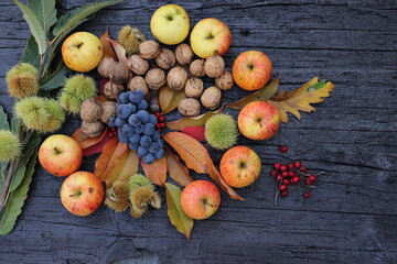 autumn still life with fruits. Thanksgiving image, place for text, composition of autumn fruits, a huge grape, apples, nuts, chestnuts, leaves