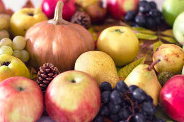 Harvest on table, seasonal autumn fruit and vegetable, organic vegetarian food
