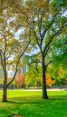 Fototapeta na wymiar Trees and buildings from Central Park in foliage season, New York City.