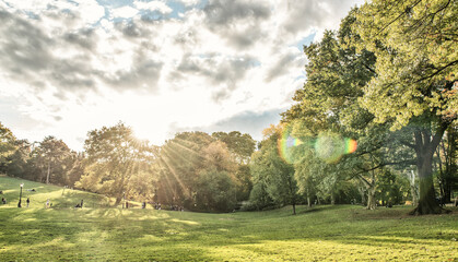Filtering light rays in Central Park, foliage season.