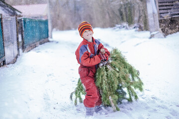 cheerful boy with smile carries a Christmas tree during a snowfall decorate house for Christmas...