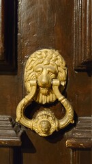 AVIGNON (Vaucluse)
