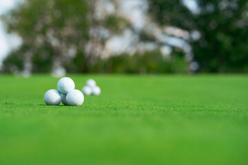 golf balls on the green grass. country club for golfers. 