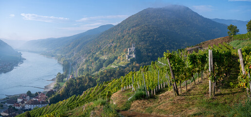 Morgenstimmung am Tausendeimerberg