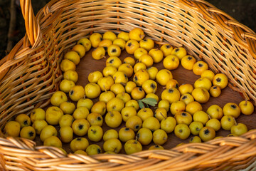 Fresh ripe yellow hawthorn fruits inside traditional wicker basket.
