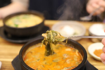 YUMMY KOREAN STYLE FOOD MEAT STEW