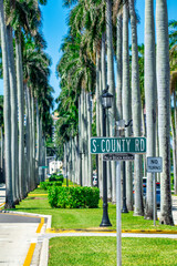Obraz premium Palm Beach Avenue on a sunny day. Palms along the alley, Florida