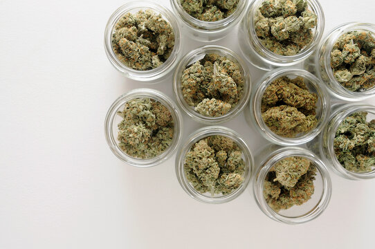 Cannabis drying and curing. Marijuana buds in glass jars. Eco container. Hemp growing concept.