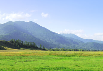 Sunny valley in the Altai mountains