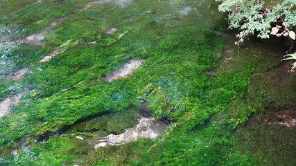上高地からの風景