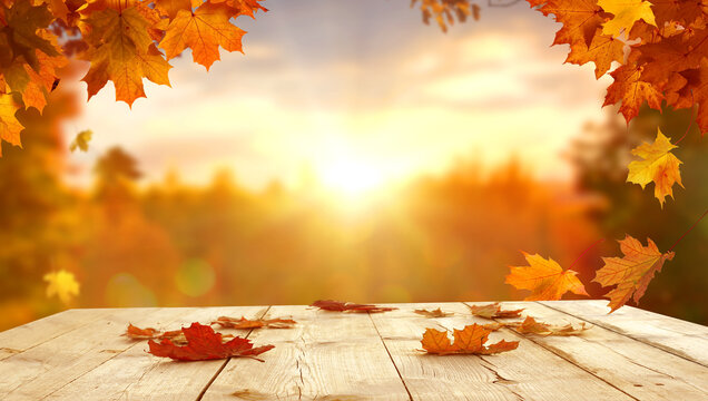 Autumn maple leaves on wooden  table.Falling leaves natural background.