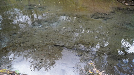 上高地　明神付近の風景