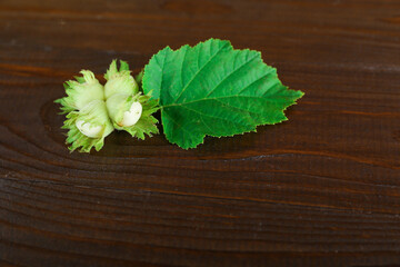  bunch of green hazelnuts on wooden background 