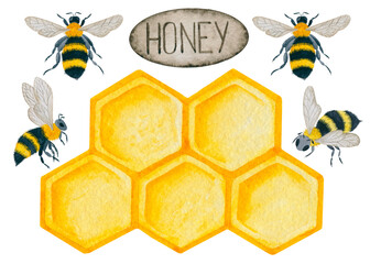 Honeycomb and bees hand drawn watercolor illustration.  Isolated clipart element on white background.