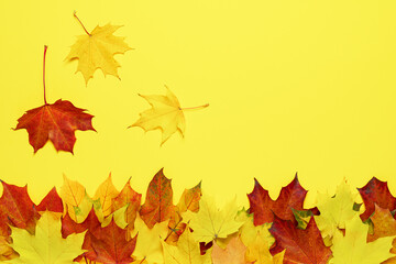 Abstract autumn background with colorful maple leaves on yellow.