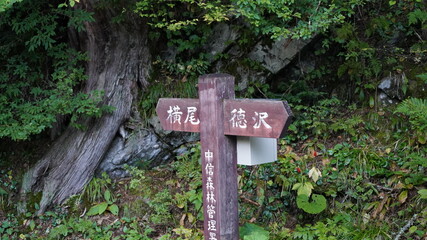上高地　徳沢付近からの風景