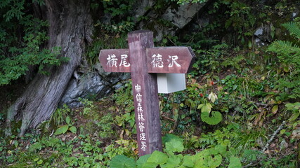 上高地　徳沢付近からの風景
