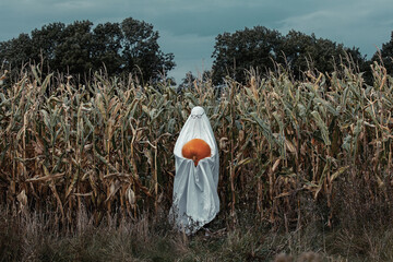 Ghost in glasses with pumpkin on corn field in autumn