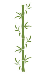Green Bamboo stem and leaves Hand drawn vector illustration Isolated on white background