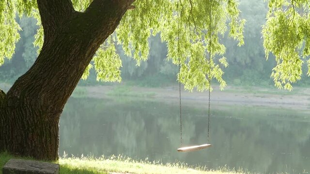 atmospheric video of a swinging swing on the river bank in the setting sun